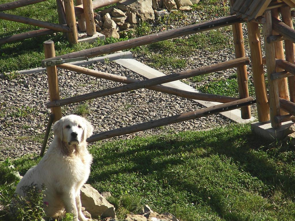 Grywałd